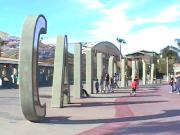 �f�B�Y�j�[�J���t�H���j�A�A�h�x���`���[