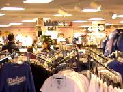 TOP OF THE PARK